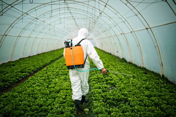 Reliable Southgate, MI Pest Control Solutions