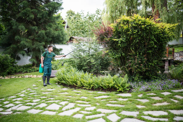 Best Wasp Removal Services  in Southgate, MI