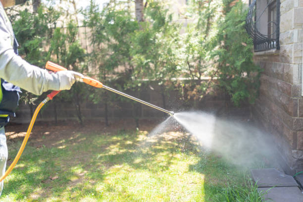Pest Prevention Services in Southgate, MI