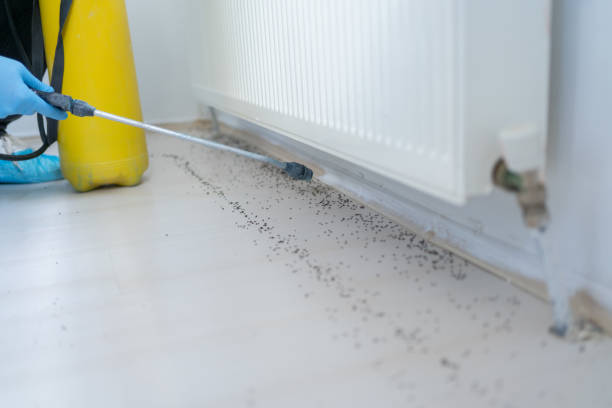 Pest Control for Restaurants in Southgate, MI