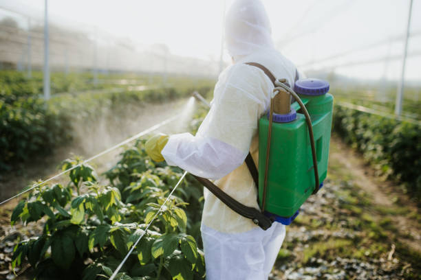 Best Emergency Pest Control  in Southgate, MI